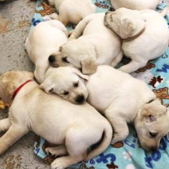 Meet your Posher, Kate - Picture 3 of 3